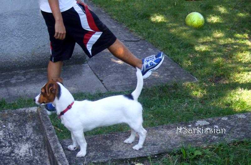 NickWendyBallRigoroso