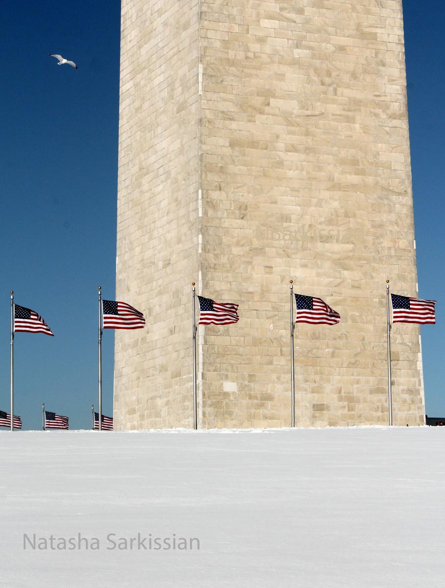 NationalMonumentSeagullweb